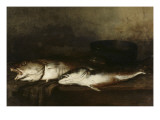 Poissons de mer Giclee Print by Antoine Vollon