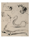 Sheet of Studies: Cat, Crocodile, Snake, Decorative Giclee Print by Eugene Delacroix