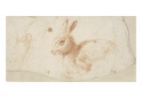 Etude de héron et de lapin Lámina giclée por Arnould de Vuez