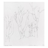 Etudes de hêtres Giclee Print by Gustave Moreau