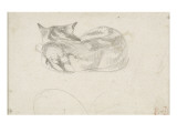 Etude de chat couché vu de dos Giclee Print by Eugene Delacroix