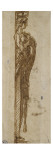 Etude de cariatide reproduction procédé giclée par Alonso Cano