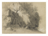 Arbres poussant entre des rochers reproduction procédé giclée par Pierre Henri de Valenciennes