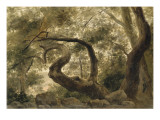 Sous-bois, arbres aux branches tortueuses reproduction procédé giclée par Pierre Henri de Valenciennes