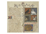 Le Livre des propriétés des choses (De proprietatibus rerum) Lámina giclée Le Livre des propriétés des choses (De proprietatibus rerum) Lámina giclée