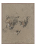 Deux têtes de renards et un oeil Giclee-trykk av Pieter Boel Deux têtes de renards et un oeil Giclee-trykk av Pieter Boel