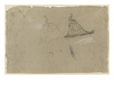 Deux paons, vus de dos reproduction procédé giclée par Pieter Boel