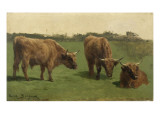 Trois études d'un boeuf roux dans un pré Lámina giclée por Rosa Bonheur