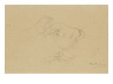 Deux études d'un groupe de deux étalons luttant Giclee-trykk av Rosa Bonheur