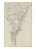 Trunk and Branches of a Tree in the Bois De Boulogne Giclée-Druck von Pierre Henri de Valenciennes