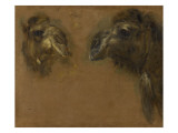 Deux têtes de dromadaires Giclee-trykk av Pieter Boel Deux têtes de dromadaires Giclee-trykk av Pieter Boel