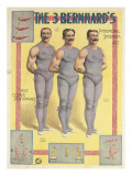 Affiche The 3 Bernard's reproduction procédé giclée