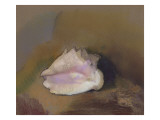 The Shell: Bottom Right, Small Shell, in the Shadow Giclee Print by Odilon Redon