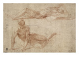 Two Naked Men Stretched, Perhaps to Study Crucified reproduction procédé giclée par Domenico Beccafumi