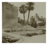 Voyage en Algérie : vue d'une palmeraie Reproduction procédé giclée par Henri Jacques Edouard Evenepoel