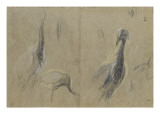 Trois études d'échassier et détails reproduction procédé giclée par Pieter Boel
