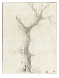 Tronc d'arbre dépouillé Reproduction procédé giclée par Pierre Henri de Valenciennes