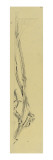 Bahut étagère La Berce des prés : sculpture des ailes de gauche reproduction procédé giclée par Emile Gallé