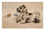 Tigre couché, de profil à droite Giclee Print by Eugene Delacroix