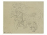 Trois études de loups Giclee-trykk av Rosa Bonheur
