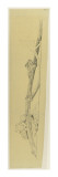 Bahut étagère La Berce des prés : sculpture des ailes de gauche Lámina giclée por Emile Gallé Bahut étagère La Berce des prés : sculpture des ailes de gauche Lámina giclée por Emile Gallé