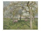 Le verger au printemps Giclee Print by Emile Claus