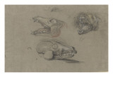 Trois études d'un squelette de tête de renard Giclee-trykk av Pieter Boel Trois études d'un squelette de tête de renard Giclee-trykk av Pieter Boel