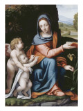 La Vierge à l'Enfant avec un ange. Préfiguration de la Passion Giclée-tryk af Bernardino Luini