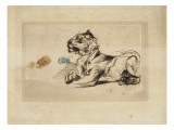 Tigre couché, de profil à droite reproduction procédé giclée par Eugene Delacroix