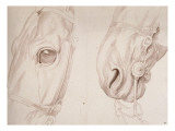 Deux études partielles d'une tête de cheval bridée Giclee-trykk av Edme Bouchardon Deux études partielles d'une tête de cheval bridée Giclee-trykk av Edme Bouchardon