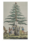 L'arbre de la liberté "Le bon may ou la vrai fête des bons gens" Giclee Print