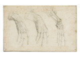 Trois études anatomiques d'une main Reproduction procédé giclée par Alessandro Allori