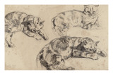Trois études de chats allongés, la tête vers la droite Giclee Print by Eugene Delacroix