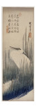 Héron blanc dans les roseaux Lámina giclée por Ando Hiroshige Héron blanc dans les roseaux Lámina giclée por Ando Hiroshige