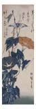 Volubilis Giclee Print by Ando Hiroshige