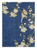 Bouvreuil et cerisier-pleureur Giclée-Druck von Katsushika Hokusai