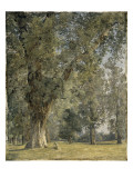 View from the Prater in Vienna (With Tree at Left) Giclee Print by Ferdinand Georg Waldmüller