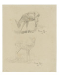 Deux ?des de chevrette Lámina giclée por Rosa Bonheur Deux ?des de chevrette Lámina giclée por Rosa Bonheur