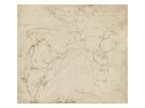 Deux etudes d'anges Giclee Print by Luca Cambiaso