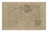 Etudes de corps et de têtesde lynx et d'une tête d'un autre animal reproduction procédé giclée par Pieter Boel