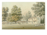 View Malmaison: the Cow Near the Pond of Saint Cucufa Giclee Print by Auguste Garneray