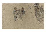 Deux études de vautour et deux détails Giclee-trykk av Pieter Boel Deux études de vautour et deux détails Giclee-trykk av Pieter Boel