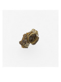Two Rings Embedded (After Having Stayed in the Seine) Giclee Print