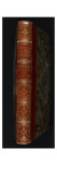 Tome III (1696DR à 1761DR) : Costumes de fêtes et mascarades. Théâtre de Louis XIV : dos d'album Giclee Print by Jean I Berain