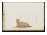 Album : un boeuf (?) couché et esquisse d'une tête de cheval Lámina giclée por Jacques-Louis David