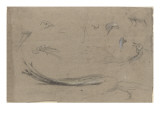 Ailes, têtes et becs de paons reproduction procédé giclée par Pieter Boel