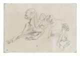 Deux lions écorchés reproduction procédé giclée par Eugene Delacroix