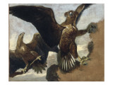 Deux aigles sur un rocher Giclee-trykk av Pieter Boel Deux aigles sur un rocher Giclee-trykk av Pieter Boel