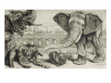 Animaux divers reproduction procédé giclée par Pieter Boel