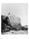 Victor Hugo sur le rocher des proscrits Giclee Print